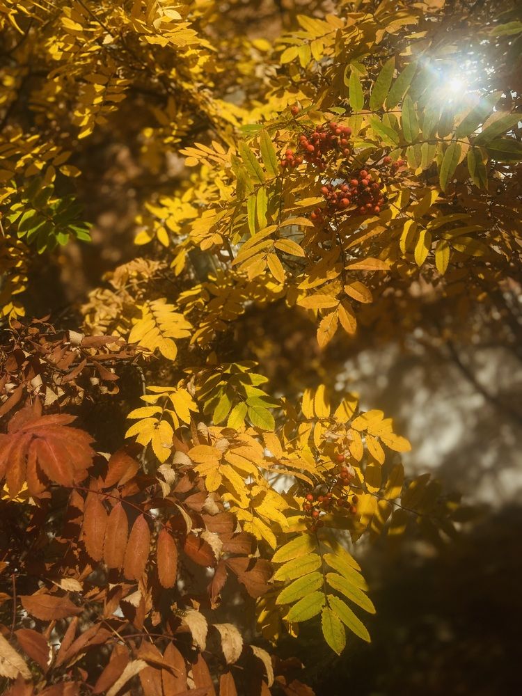 Photograph by Елена Мусина