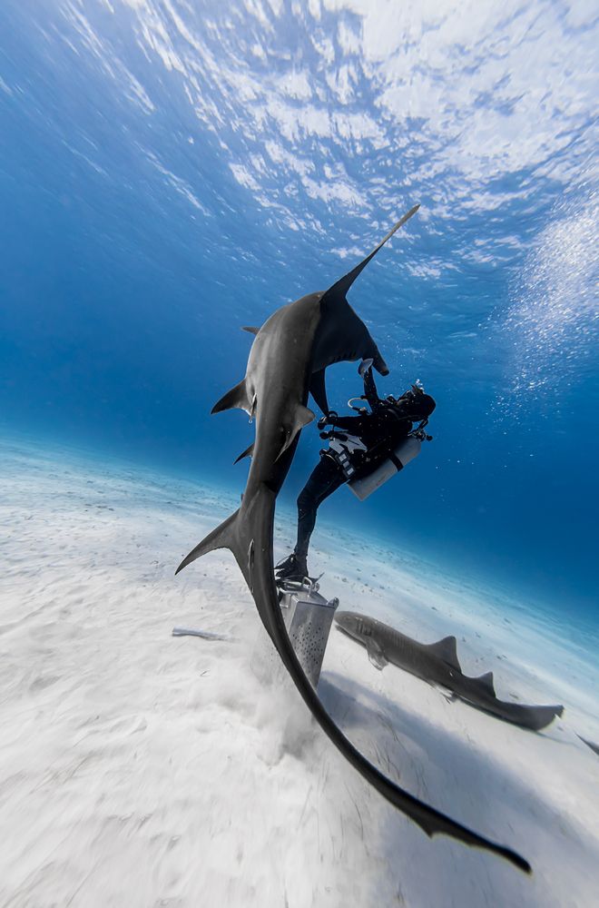 Photograph by mizael palomeque