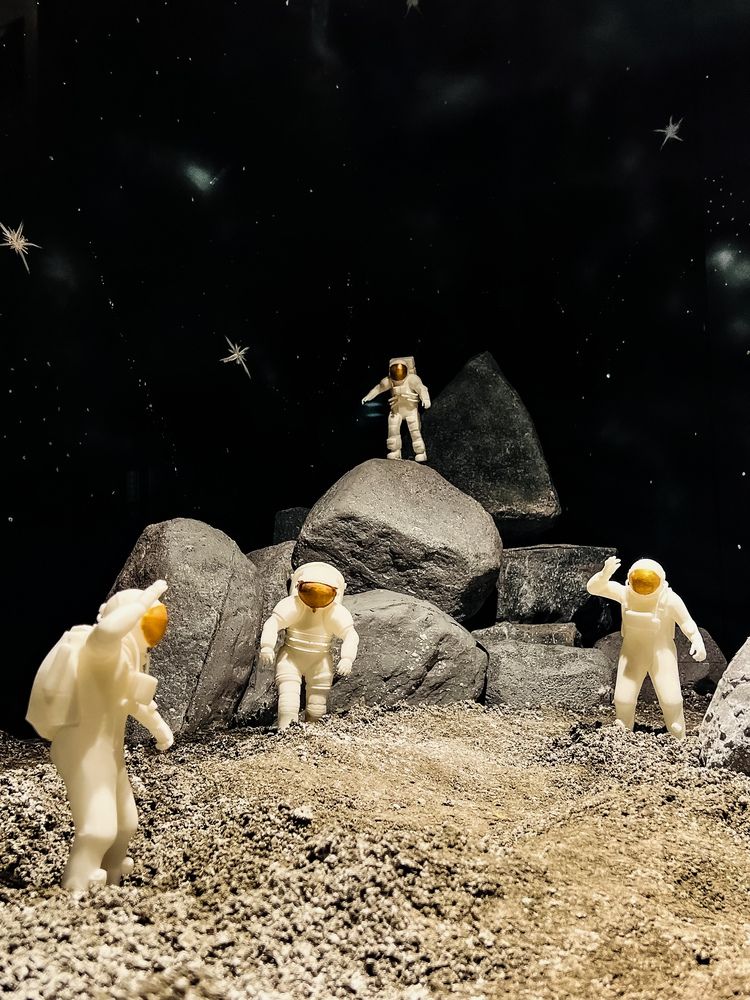 Photograph by Afthash Kodalam Pallath