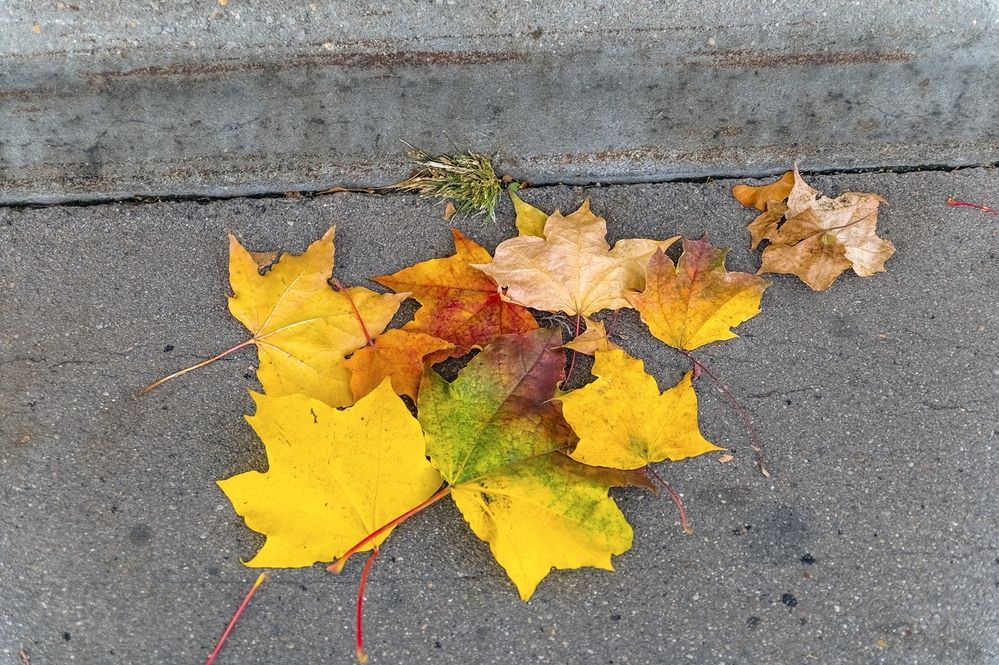 Photograph by  Валерий