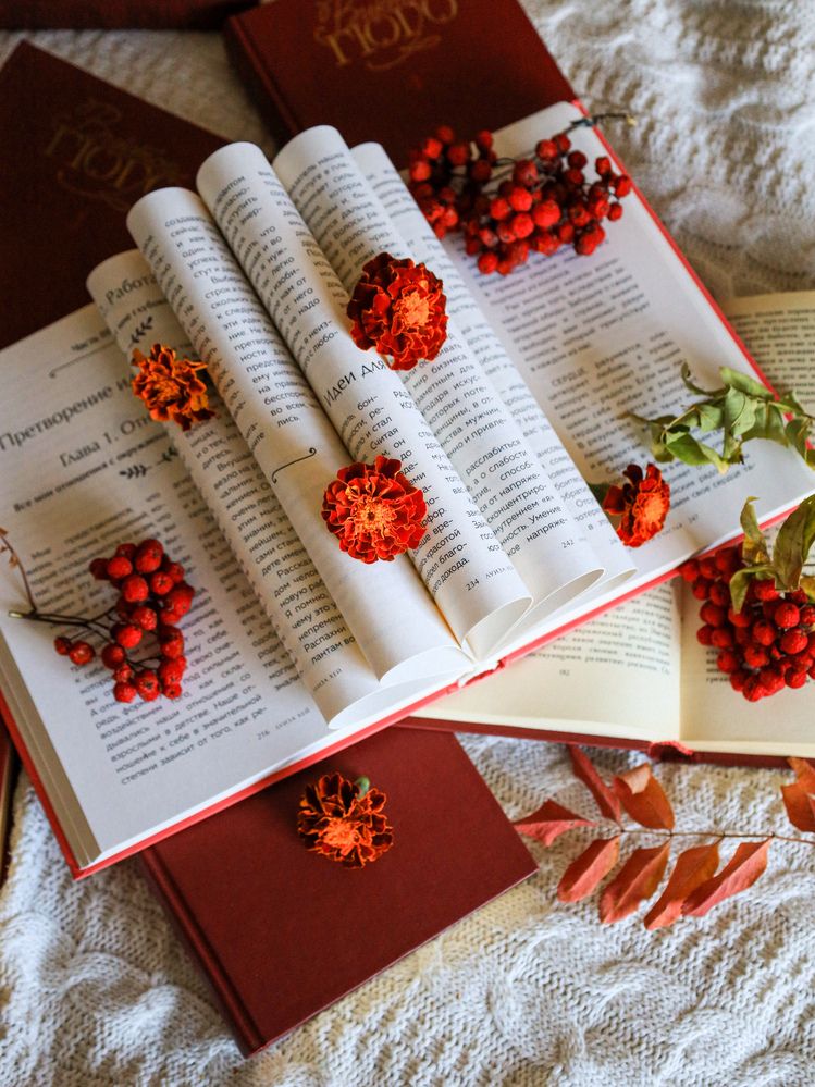 Photograph by Дарья Целуйко