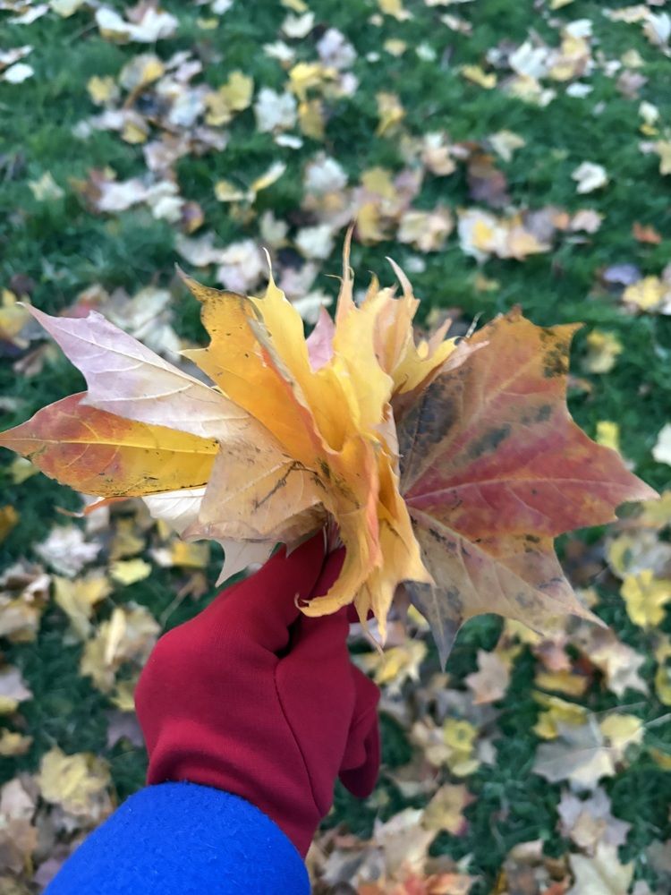 Photograph by Наталья Онофренчук