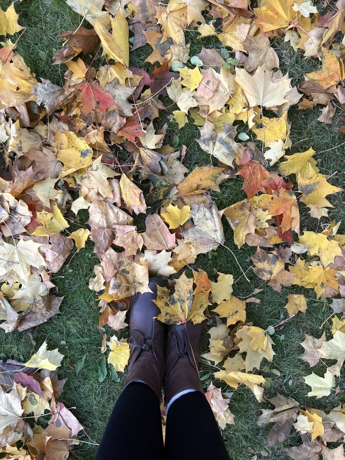 Photo #12685994