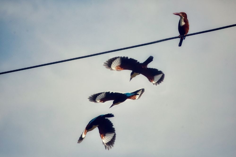 Фотография автора Washiful Majid