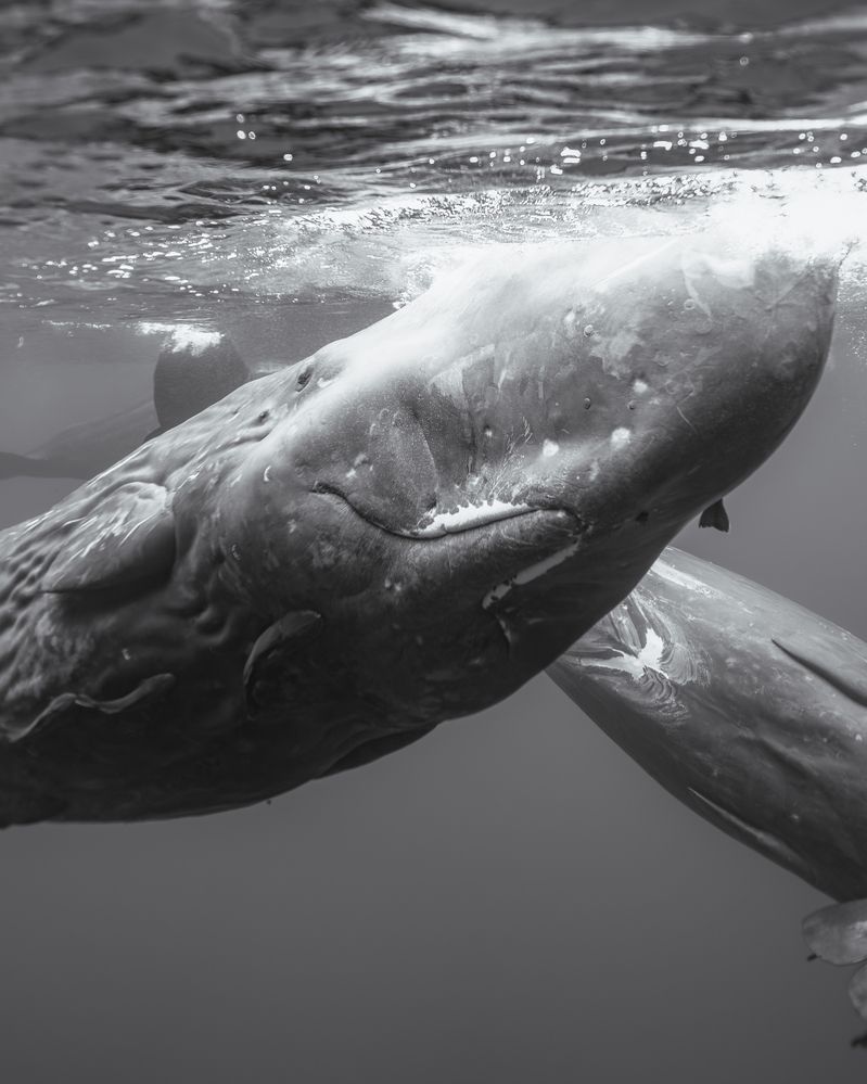 Photograph by Airat Mukhametov