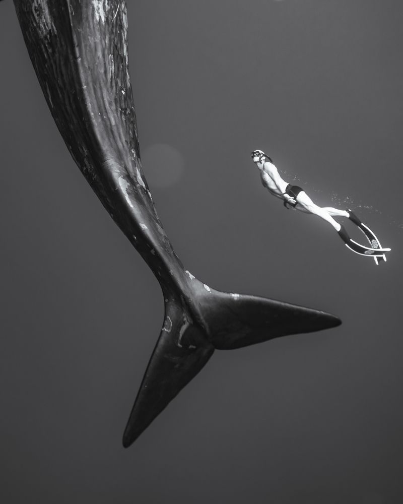 Photograph by Airat Mukhametov