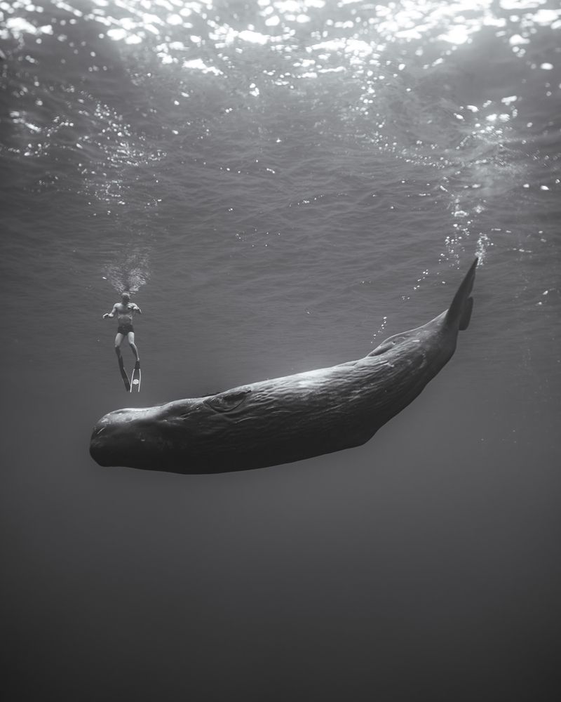 Photograph by Airat Mukhametov
