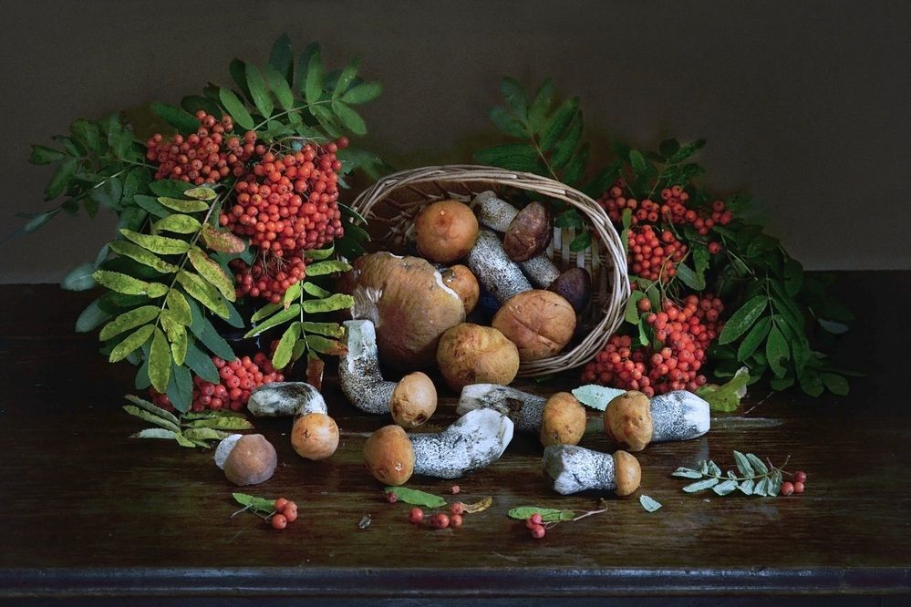 Photograph by Соколова Елена