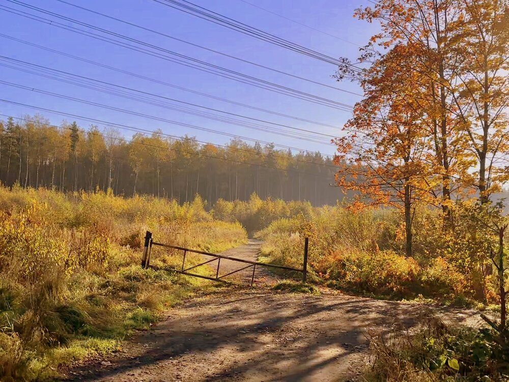 Photograph by Татьяна Смирнова