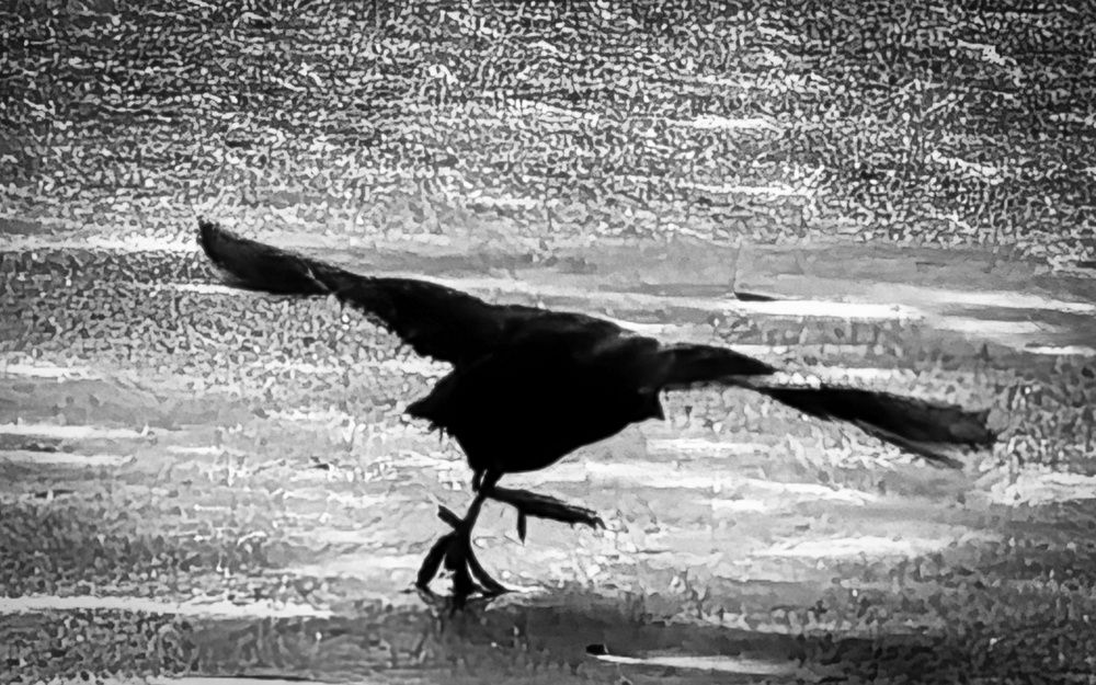 Photograph by Александр Максимов