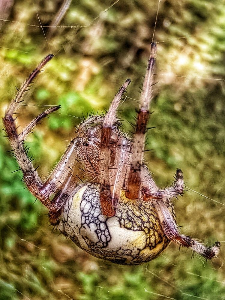 Photograph by Елена Павлова