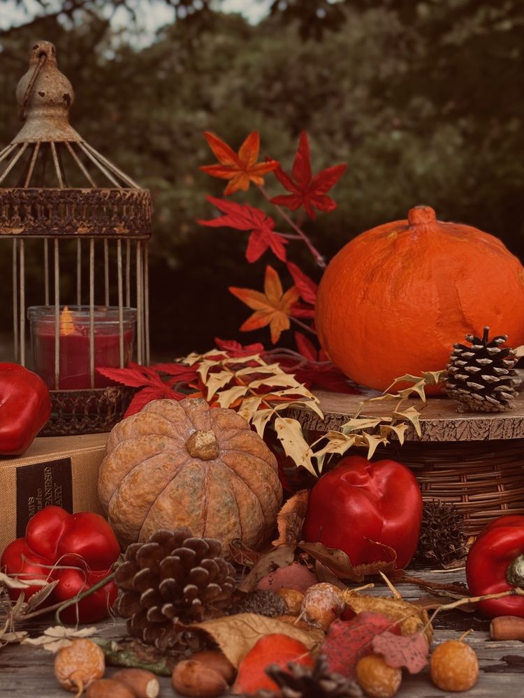 Photograph by Nagasaki Marina