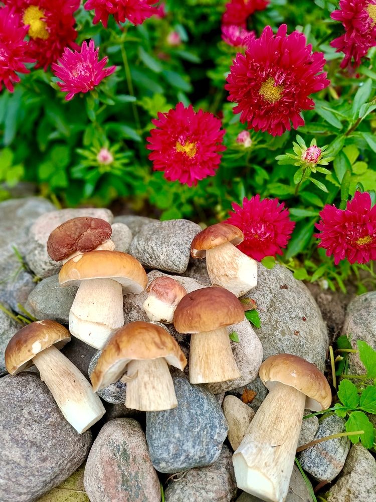 Photograph by Татьяна Бешенкина