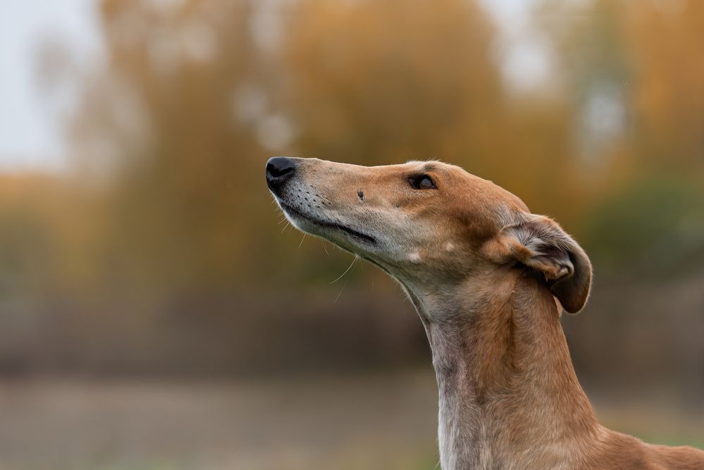 Photograph by наталья залогина