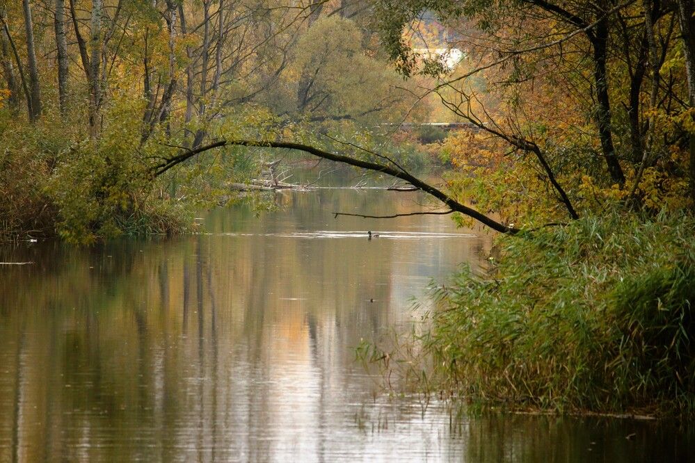Photograph by Оксана Малахова