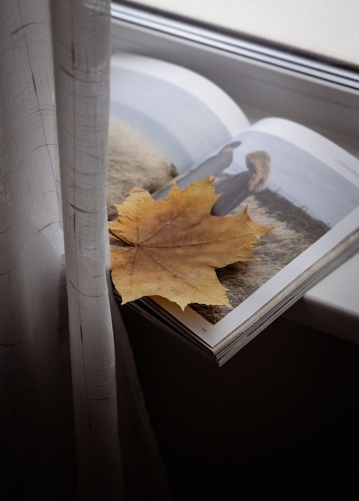 Photograph by Татьяна Гребенникова