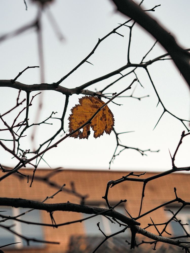Photograph by Виталий Шмачко