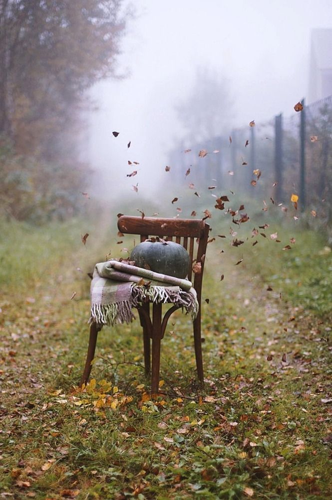 Photograph by Liliya Rodionova
