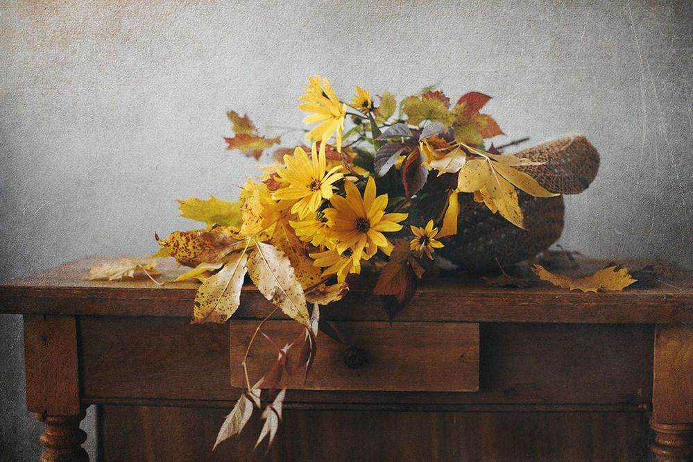 Photograph by Liliya Rodionova