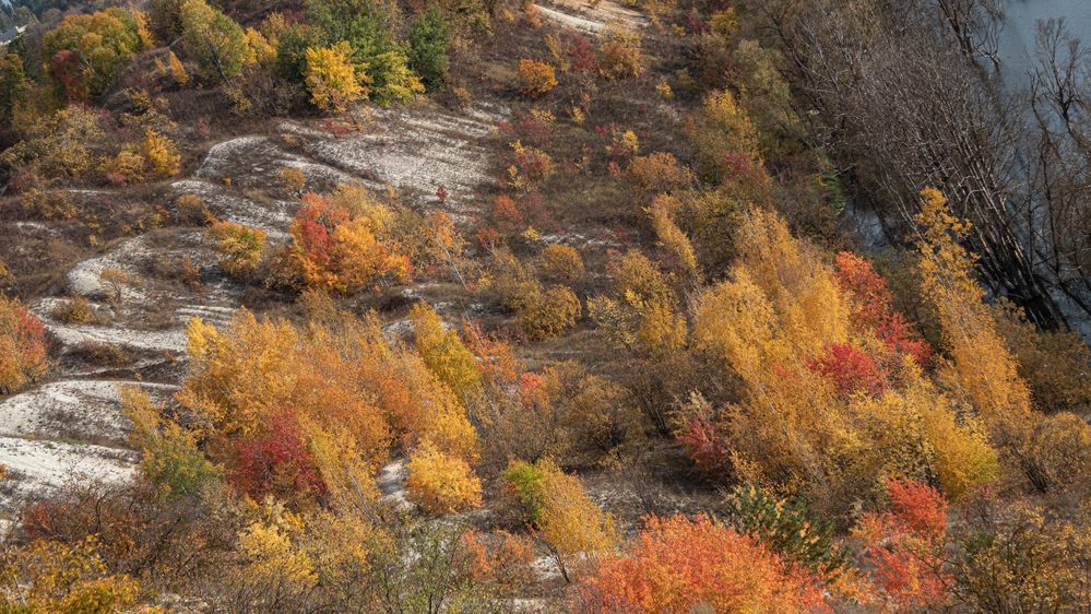 Photograph by Дмитрий Давидов