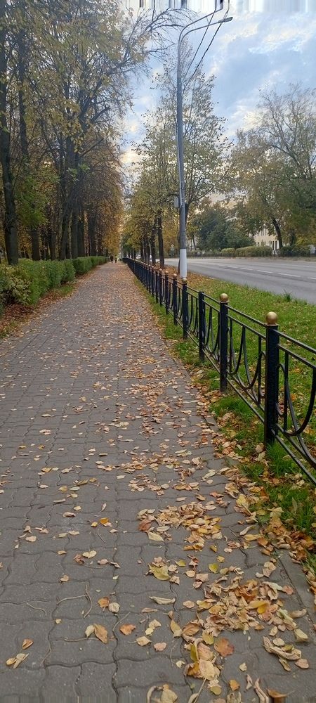 Photo #12686515