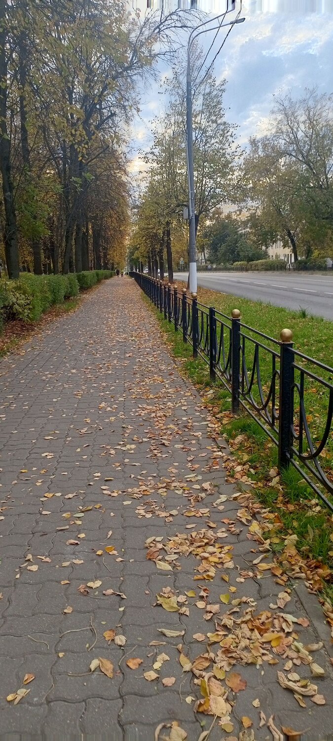 Photo #12686515