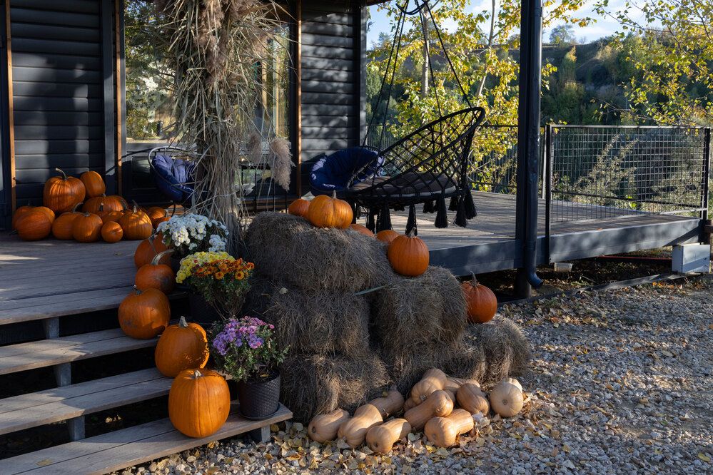 Photograph by Сергей Шпаков