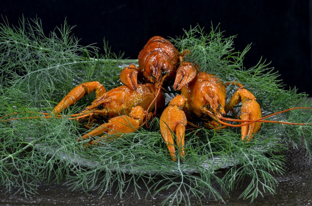 Photograph by Римма Волченко