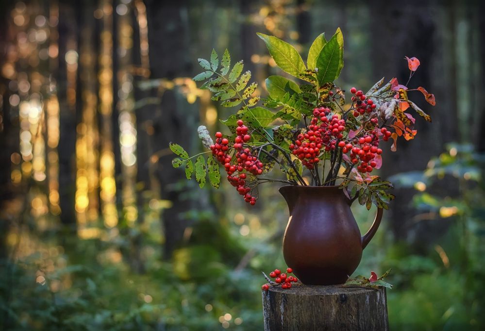 Бабушкин букет.