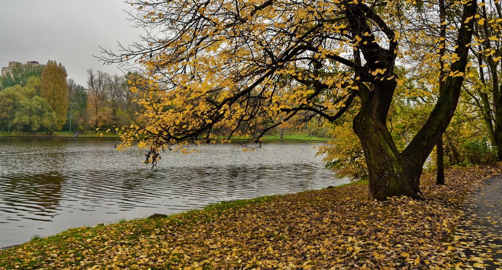 Photograph by Анастасия Смирнова