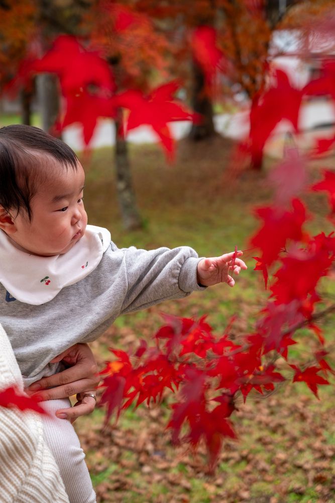 Photograph by kurodon