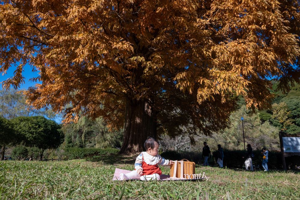 Photograph by kurodon