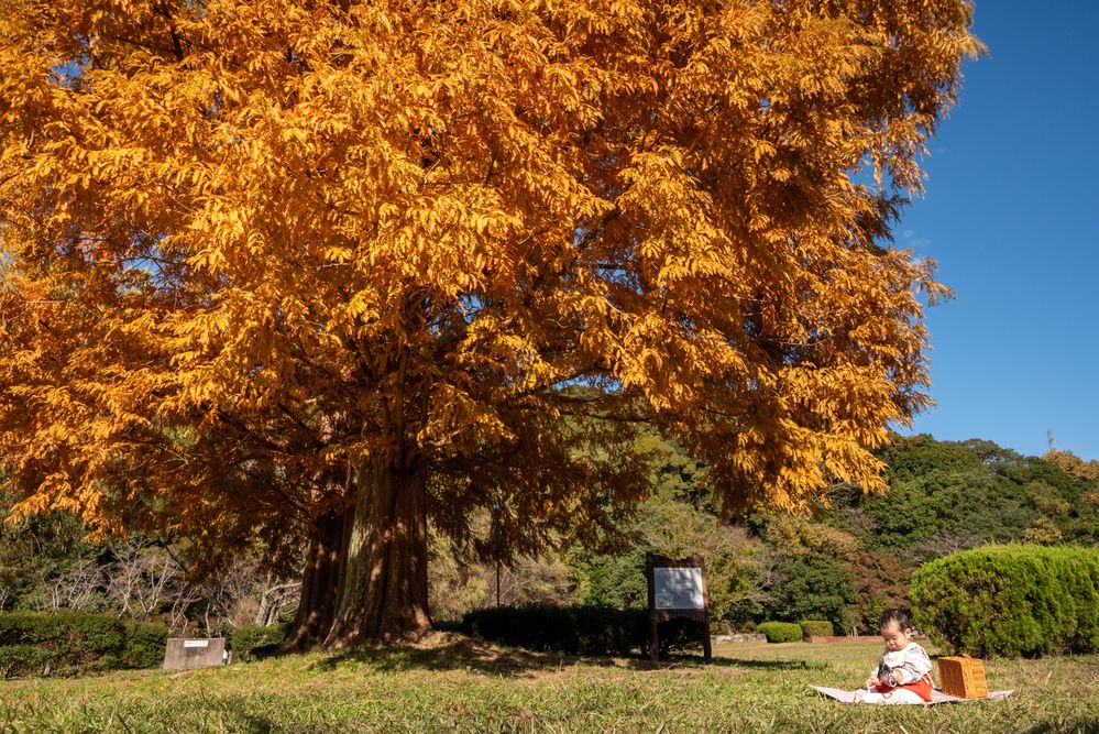 Photograph by kurodon