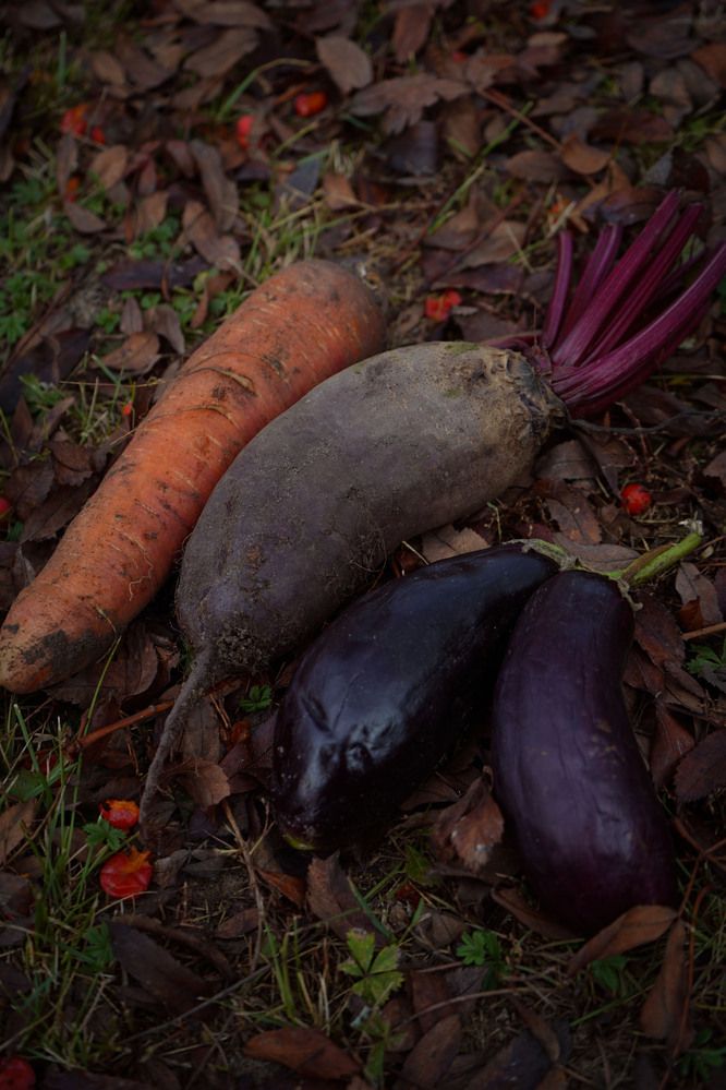 Photograph by Любовь Лунина