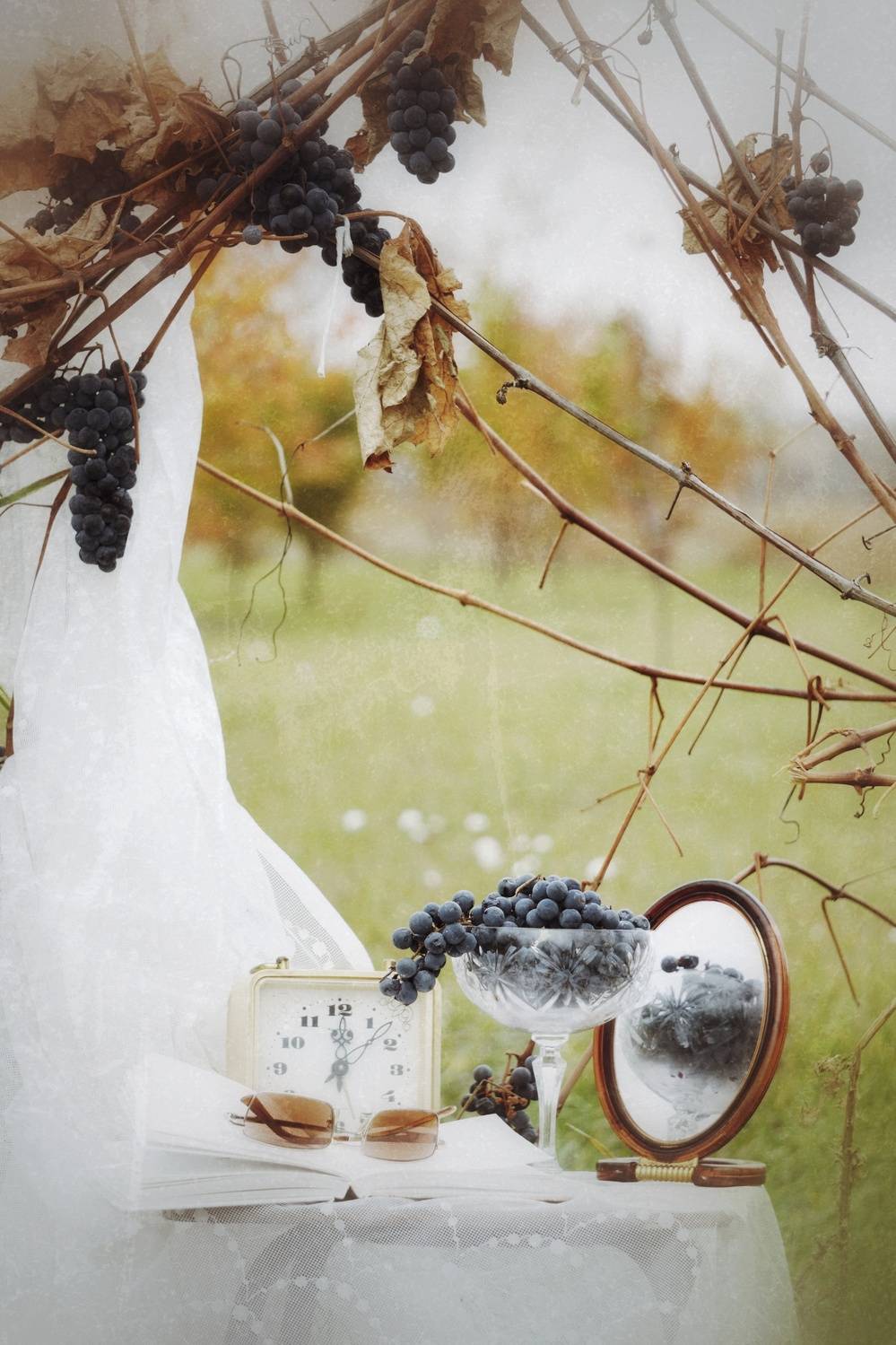 Photo #12686928