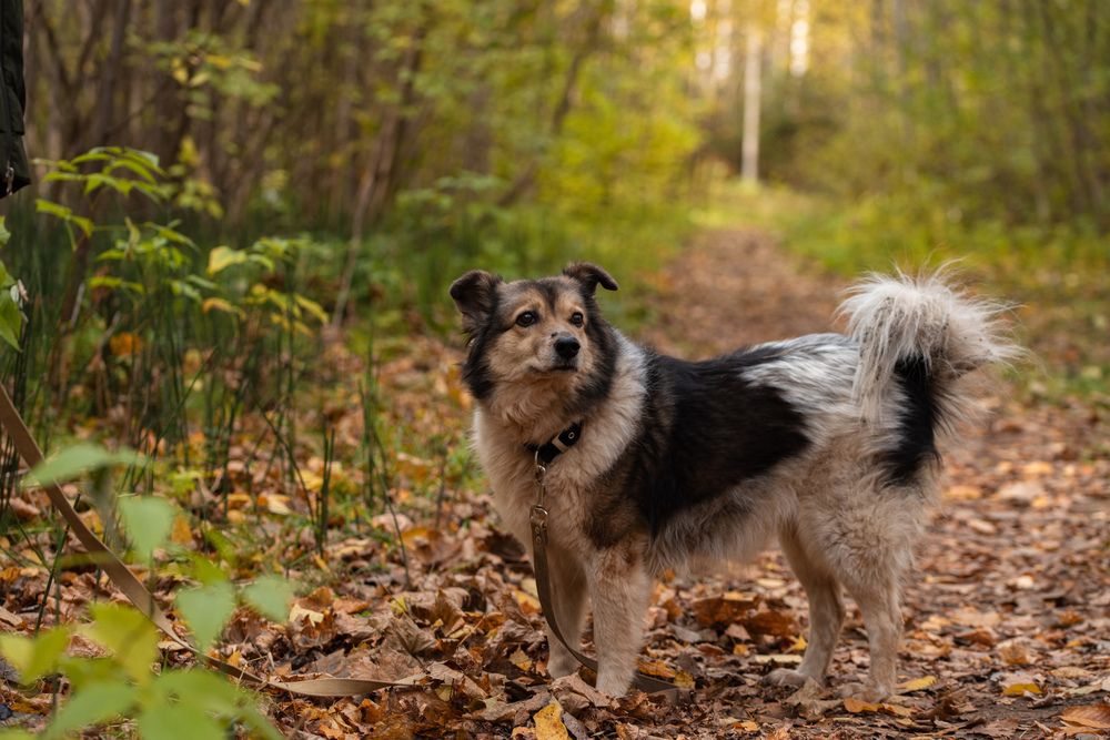 Photograph by Ксения Шилина