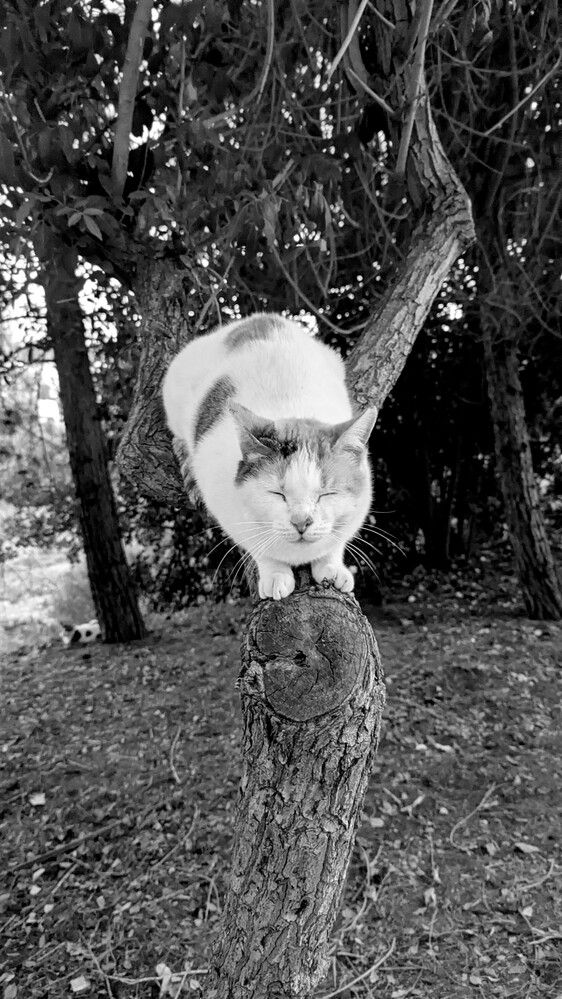 Photograph by Georgia Solomou