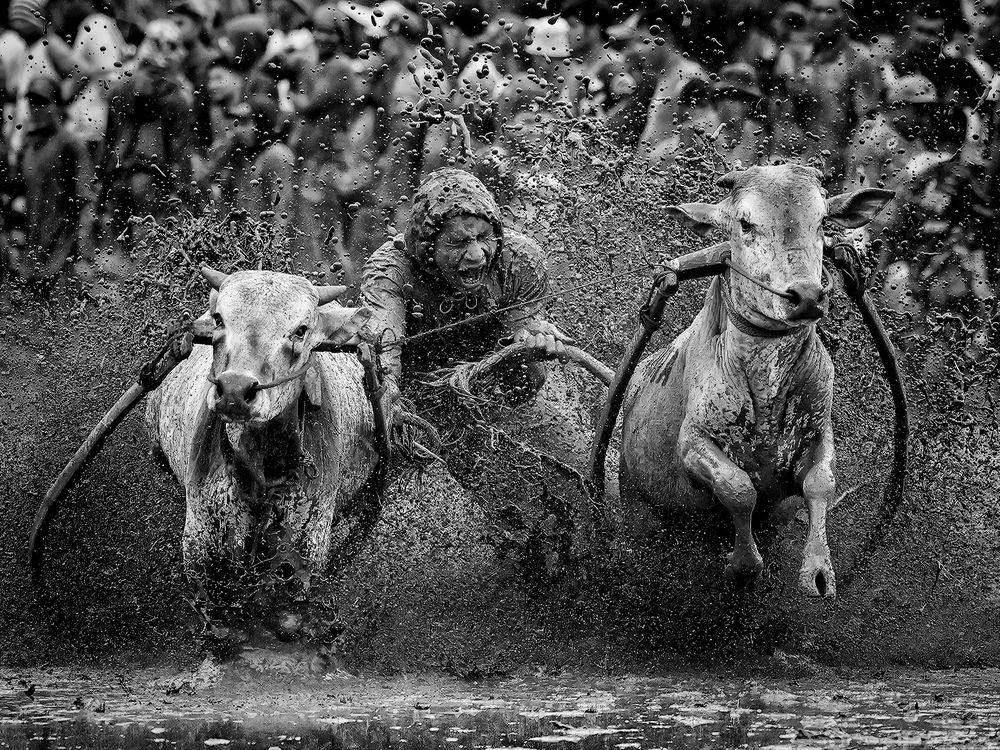 Photograph by Jurica Galic