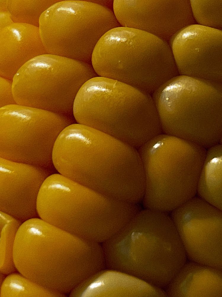 Photograph by Оксана Корепанова