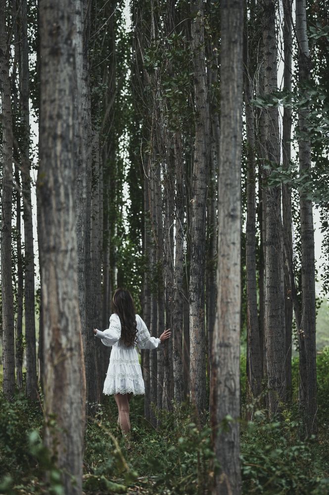Photograph by Лейла Сабурова