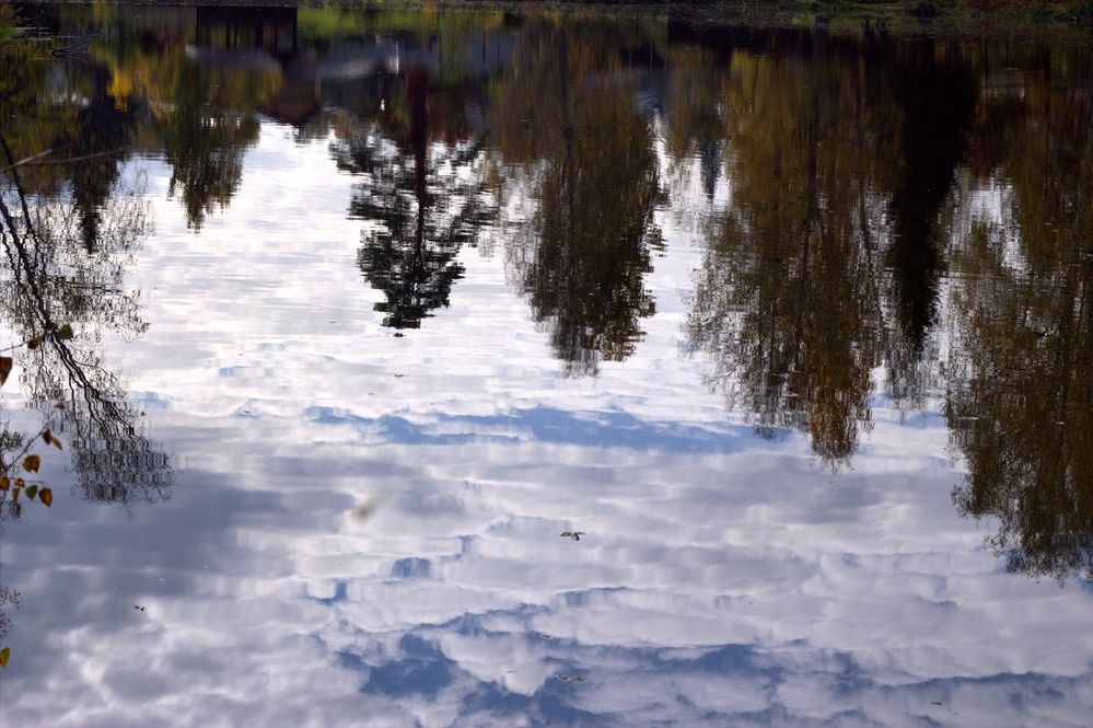 Photograph by Денис Пискунов