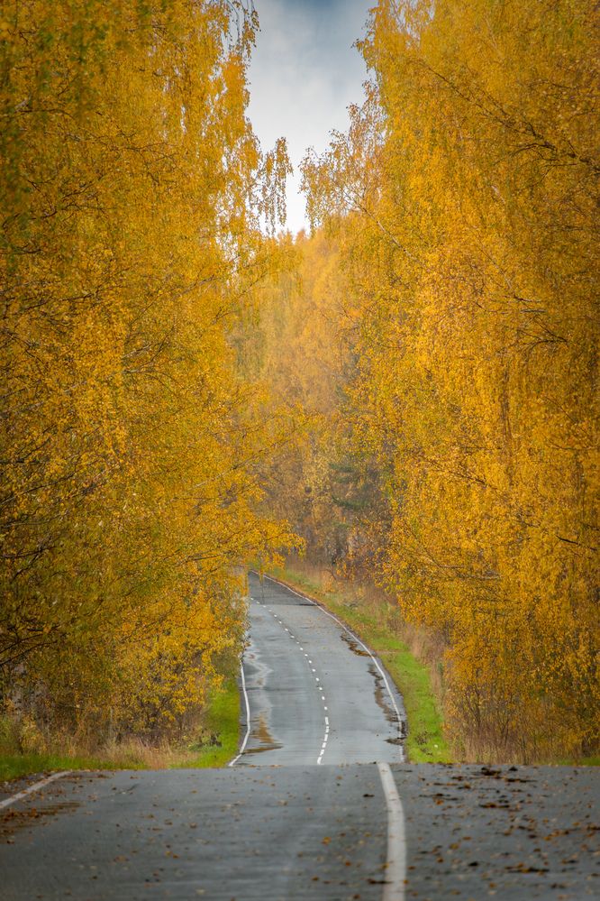 Photograph by Высотских Владимир