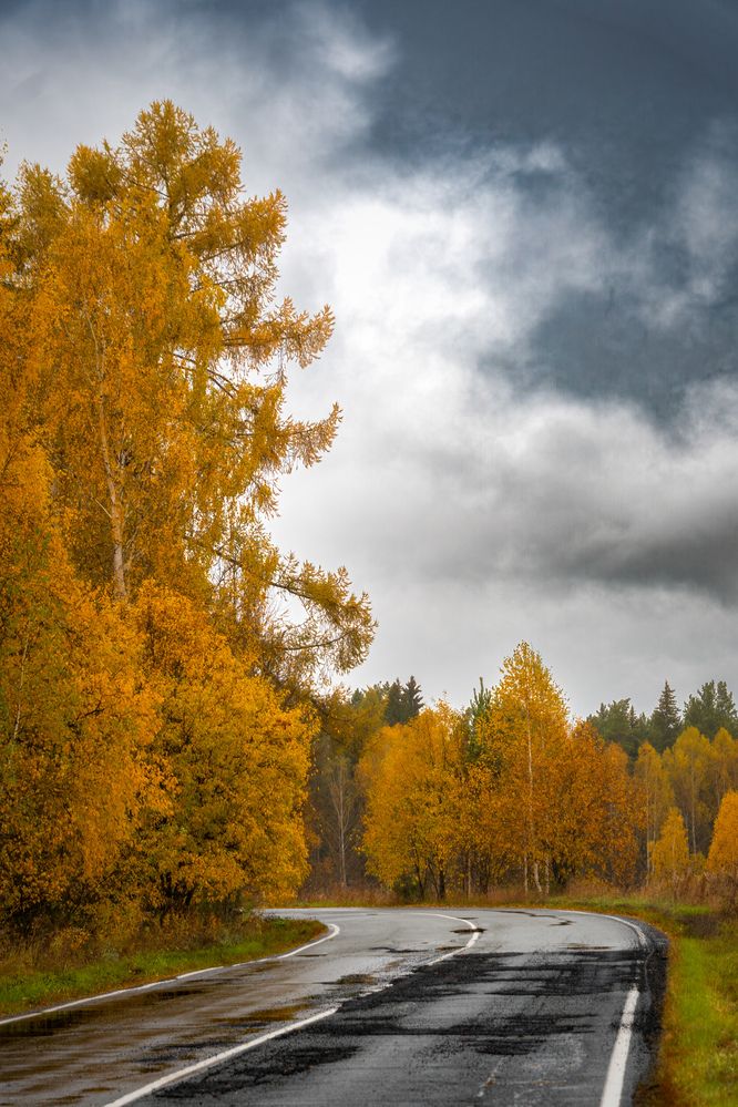 Photograph by Высотских Владимир