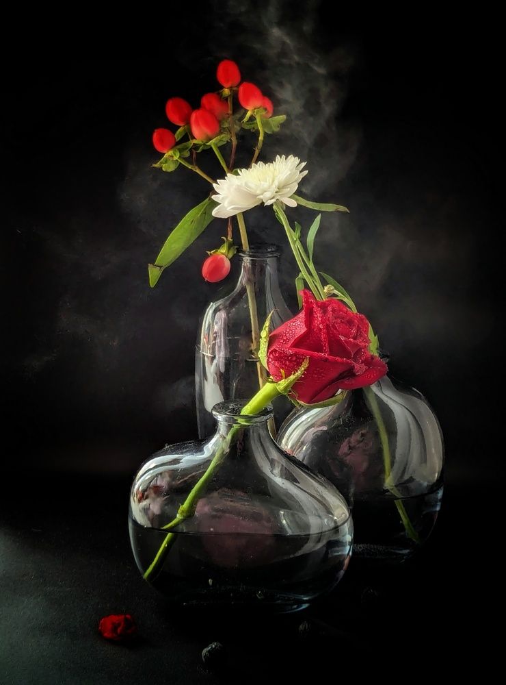 Photograph by AlexaL
