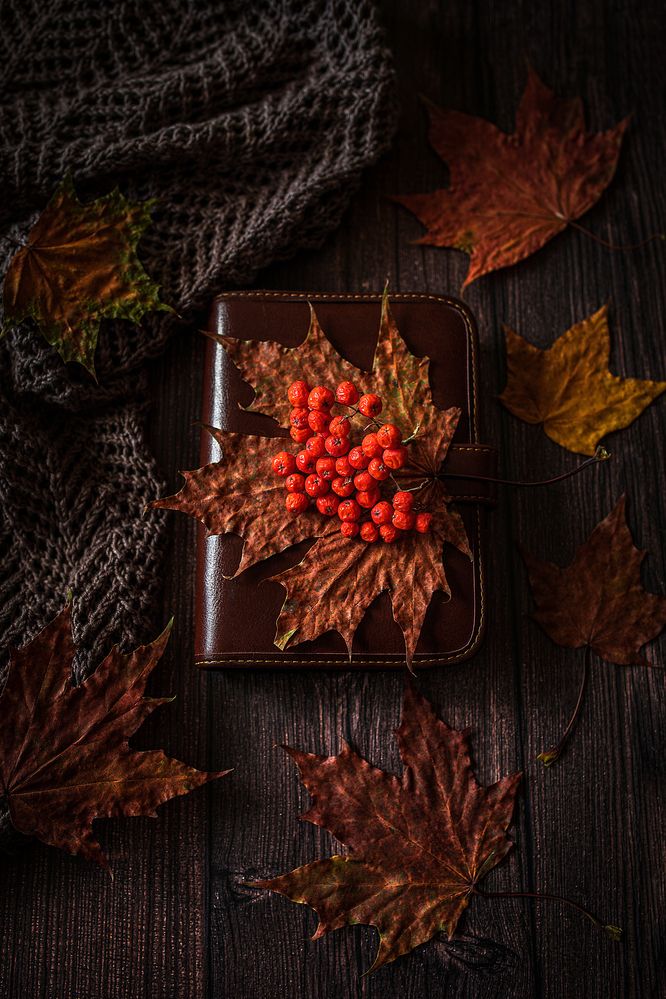 Photograph by Альбина Кадочникова