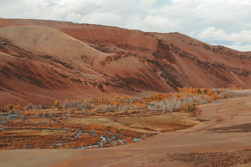 Photograph by Александра Петрова