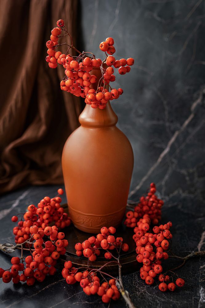 Фотография автора Альбина Кадочникова