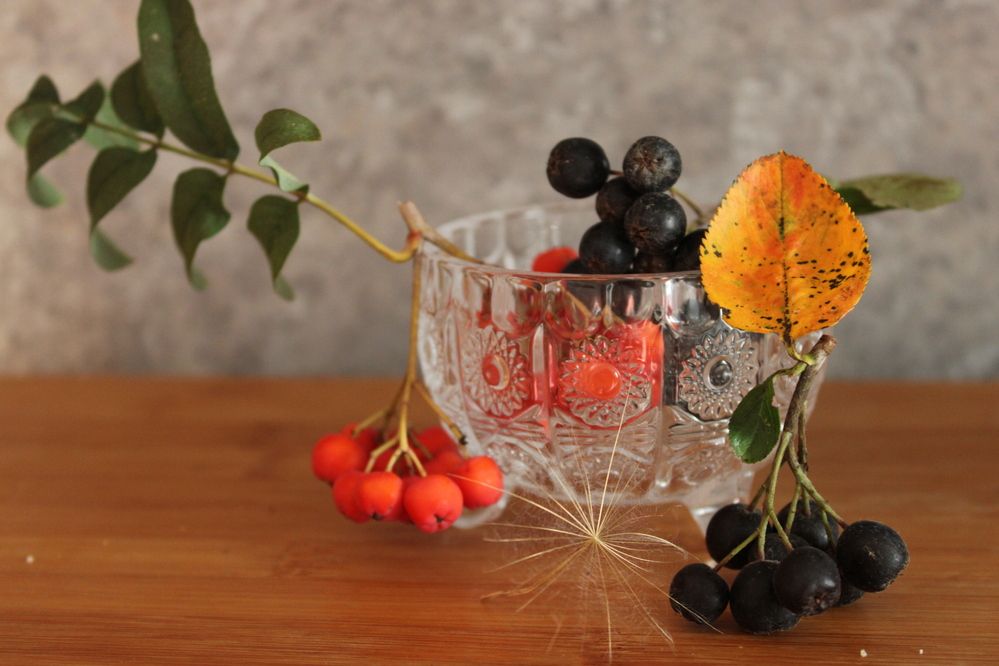 Photograph by Елена Коробченко