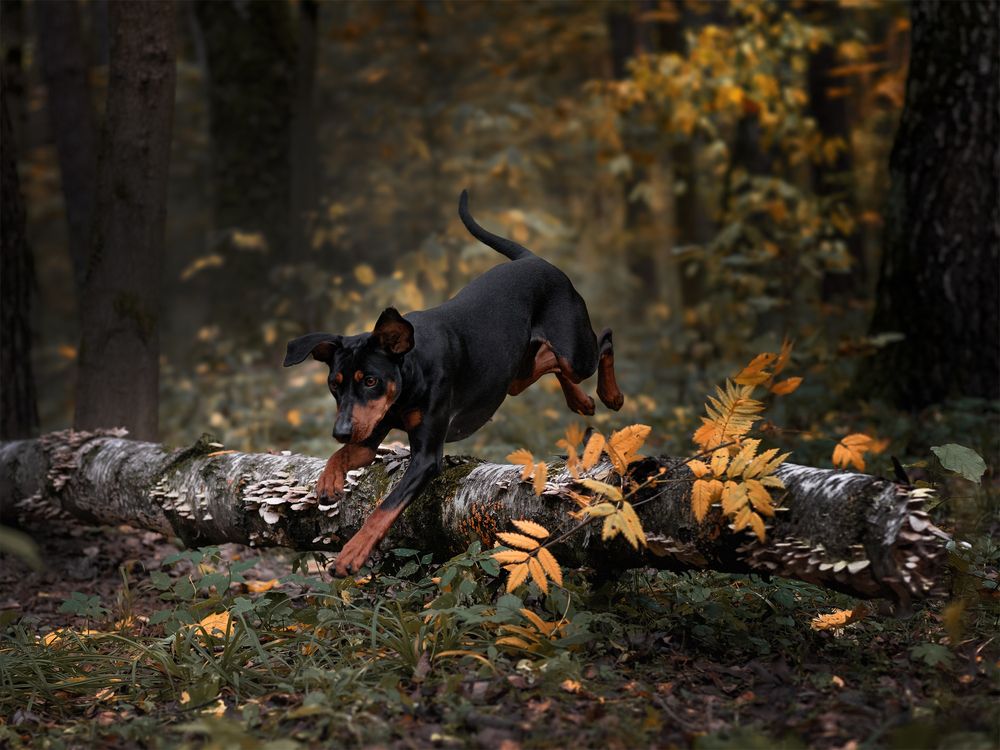 Фотография автора Васильева Светлана