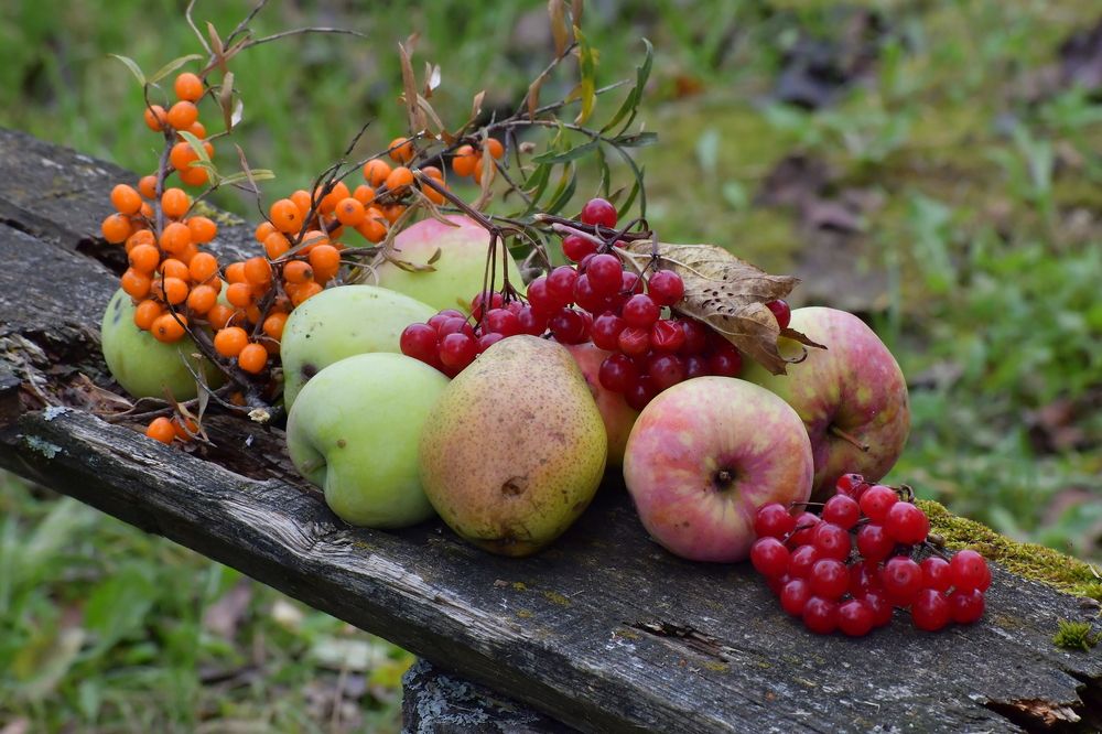 Photograph by Николай Абакумов